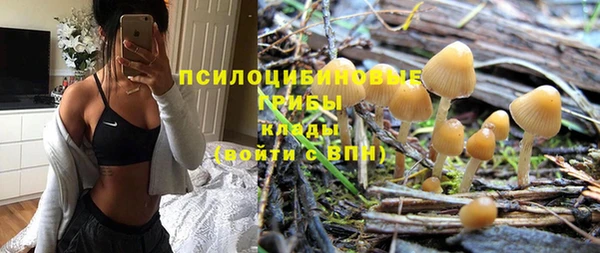 а пвп мука Заволжск