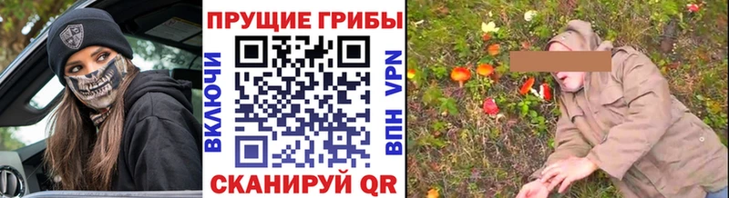 Купить  Красновишерск  Псилоцибиновые грибы Magic Shrooms 