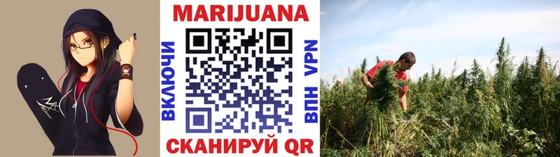 Купить где  Красновишерск  Марихуана SATIVA & INDICA 